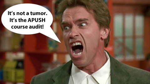 Confronting the Audit Demon