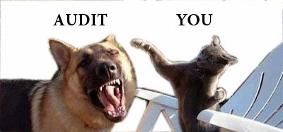 Confronting the Audit Demon