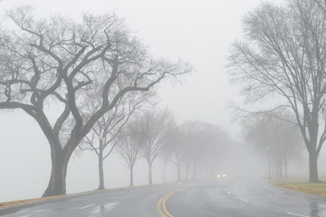 The New DBQ Rubric: A Step in the Right Direction