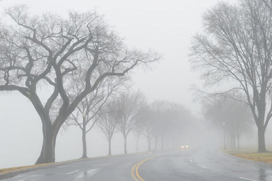 The New DBQ Rubric: A Step in the Right Direction