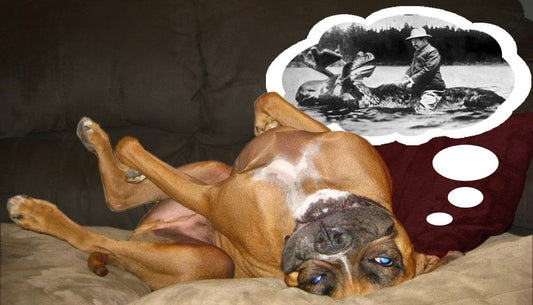 A PUSH to Innovate Series: Kate Harris